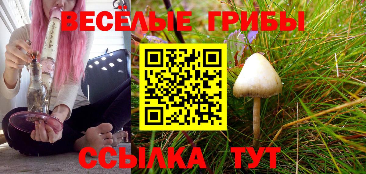 Псилоцибиновые грибы прущие грибы Чапаевск